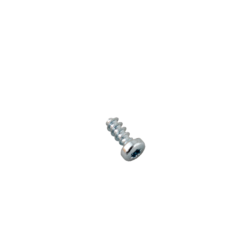 2.5mm x 6mm Plastic Screw PAN TX8 BZP