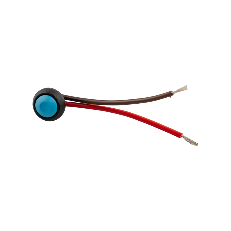 Pump Switch