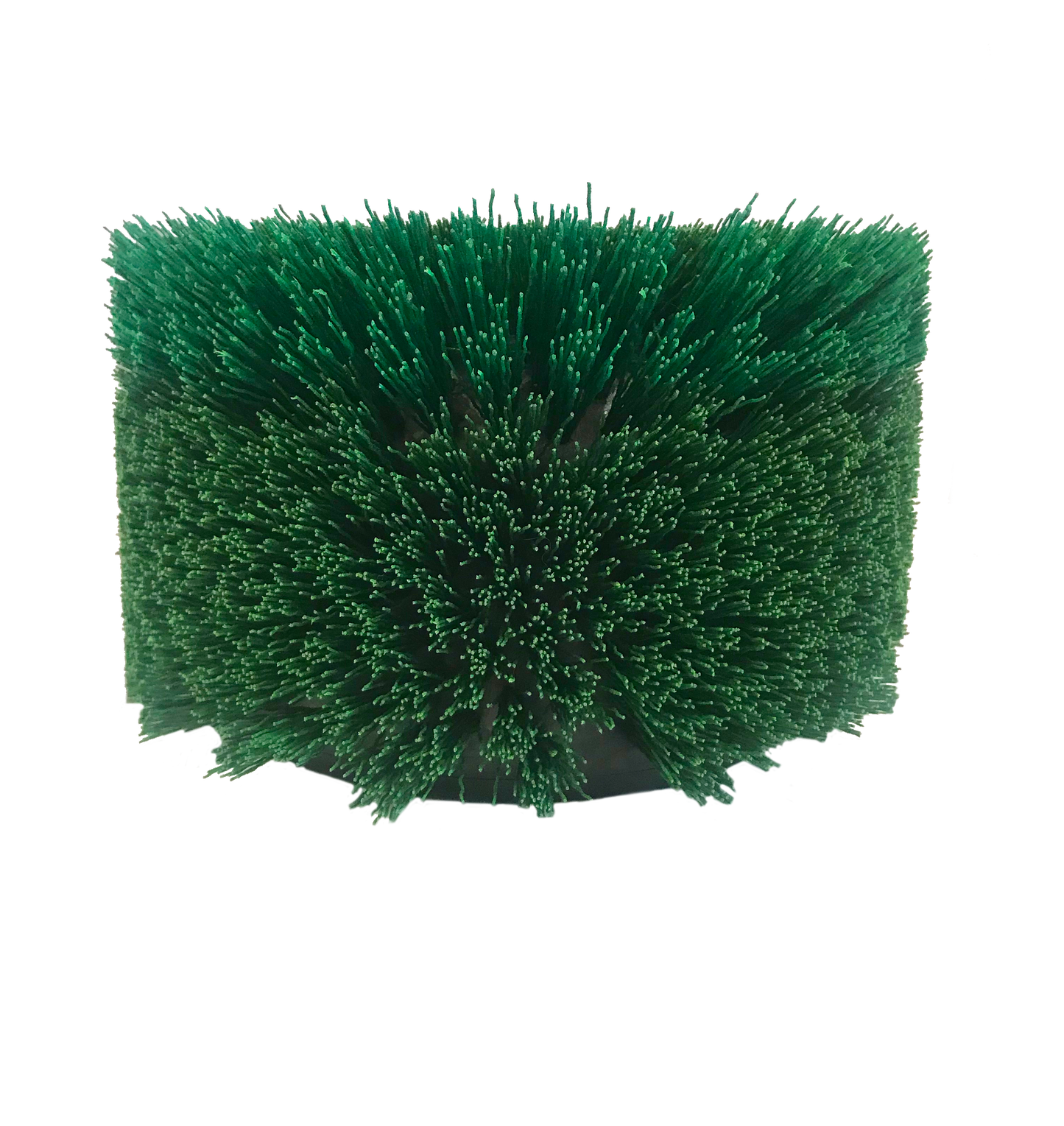 Grit Stair Brush